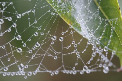 Pièces de l’offre renvoyées à un lien externe, offre irrégulière ?